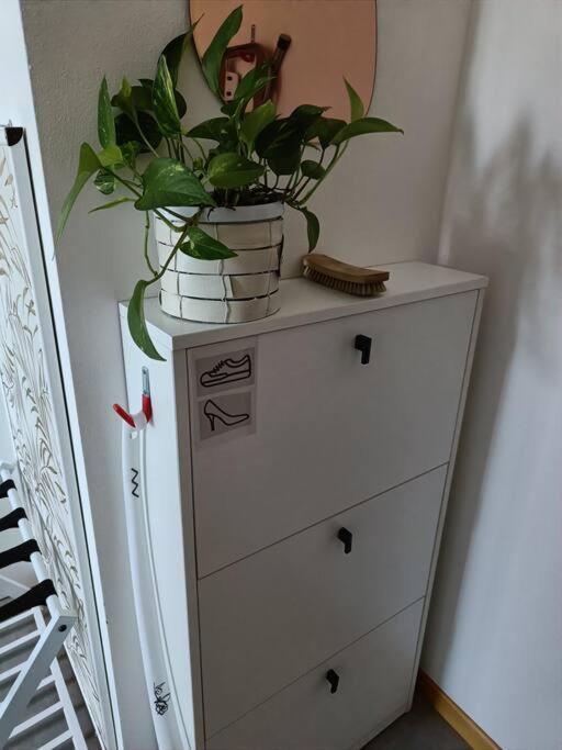 Art-Apart Lt Appartamento Con Giardino Privato Πάδοβα Εξωτερικό φωτογραφία